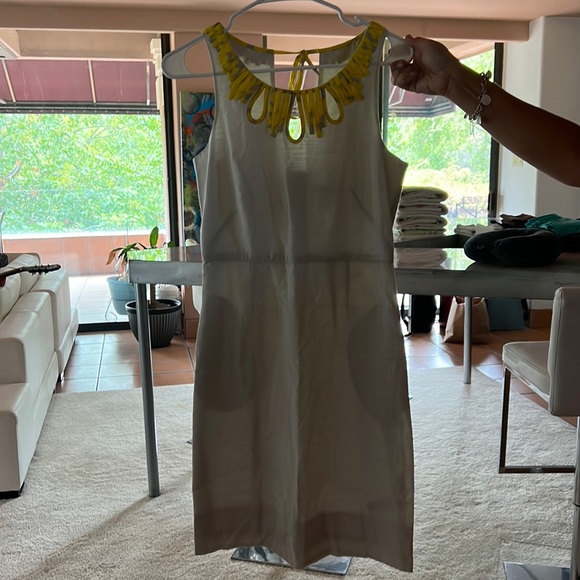 Brand new cotton/ silk size 2 dress with a liner - Picture 1 of 9